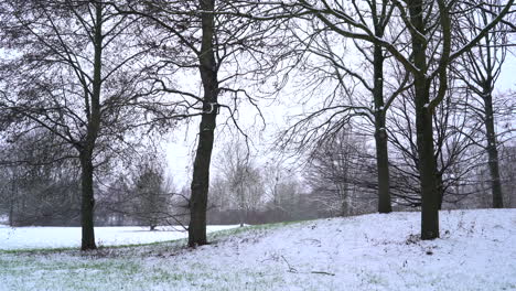 Parque-Nevado-Con-Prado-Verde