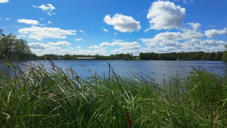 A-scenic-lakeside-view-with-tall-grass-in-the-foreground,-calm-water,-and-trees-under-a-bright-blue-sky-with-fluffy-clouds