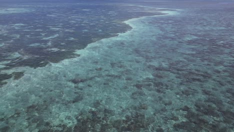 Aerial-view-of-a-vibrant-coral-reef-beneath-clear-blue-ocean-waters