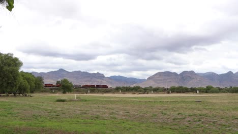 En-Espacios-Desérticos-Que-Son-Verdes-Y-A-La-Vez-Secos-Porque-El-Desierto-Lo-Mueve-De-Esa-Manera