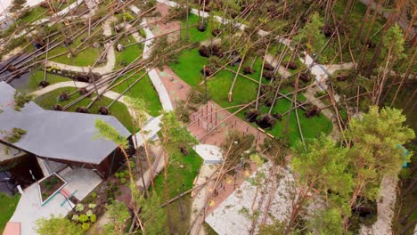 Modern-buildings-and-fallen-park-trees-after-powerful-storm,-aerial-view