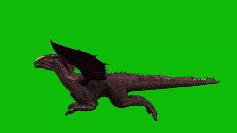 Dragon-fantasy-creature,-monster,-glide-on-green-screen,-side-view-seamless-loop-3D-animation