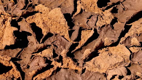 Close-Up-View-of-Cracked,-Dried-Mud-Surface-Highlighting-Severe-Drought-Conditions