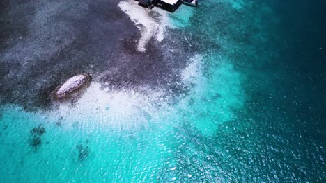 Vibrant-turquoise-sea-revealing-a-sandbank-in-los-roques,-aerial-view