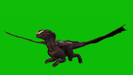 Dragon-fantasy-creature,-monster,-glide-on-green-screen,-perspective-view-seamless-loop-3D-animation