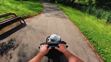 A-point-of-view-shot-of-a-person-pushing-a-stroller-along-a-paved-path-in-a-green-park