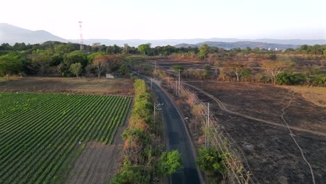 Road-passing-through-remote-rural-farm-town