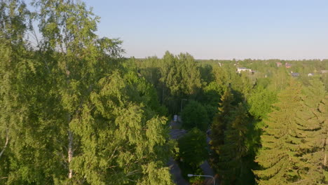 Aerial-rising-shot-over-sunlit-trees,-in-the-suburbs-of-Helsinki,-Finland