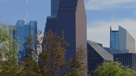 Reveal-of-Houston's-skyscrapers-behind-trees-on-a-bright-day