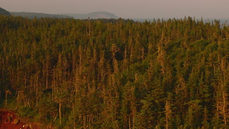 Aerial-flying-over-trees-to-reveal-the-stunning-Atlantic-coastline-at-sunset