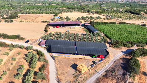 Aerial-View-of-a-Serene-Countryside-Farm