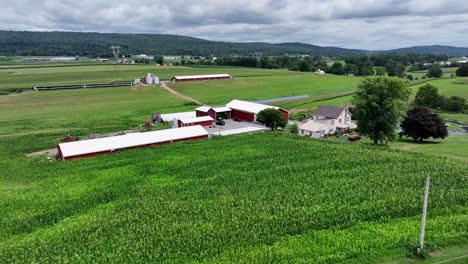 Aerial-approaching-shot-of-large-american-farmstead-with-buildings-and-home-surrounded-by-green-landscape