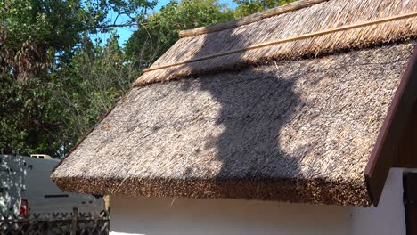 Thatched-Roof-House-Showcasing-Traditional-Architecture-in-a-Countryside-Scene