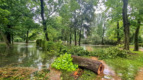 Flooded-park-with-fallen-trees,-debris,-and-water-pooling-around-lush-green-trees