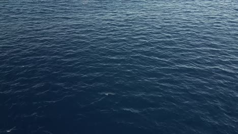 A-peaceful-view-of-the-calm-ocean-surface-with-gentle-ripples