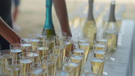 Young-Lady-Catering-During-Champagne-Service