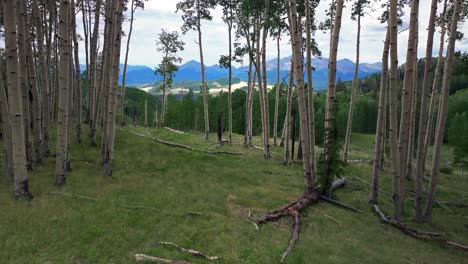 Summer-Telluride-airport-Colorado-Rocky-Mountains-aerial-drone-vista-Ridgway-Last-Dollar-Road-Aspen-Trees-Groove-Forest-green-Ouray-Silverton-San-Juan-Mount-Sneffels-gray-cloudy-forward-slow-motion