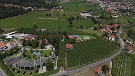 Expansive-vineyards-and-modern-estates-amidst-lush-green-hills-in-Felgueiras,-Portugal