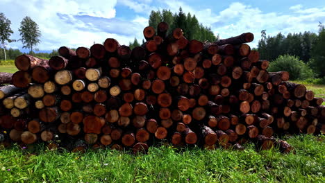 Neat-pile-of-reddish-brown-logs-in-grass,-with-a-forest-and-blue-sky-behind