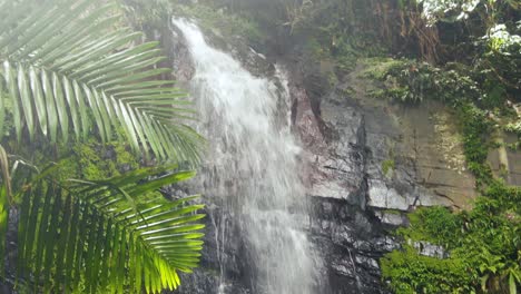 Wasserfall-An-Einer-Klippe-Und-Im-Tropischen-Wald-In-Puerto-Rico,-Schwenk-Von-Hinter-Einem-Baum