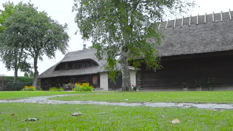 Traditional-Estonian-wooden-buildings-that-have-straw-or-rye-roofing-or-roof-during-summer-time