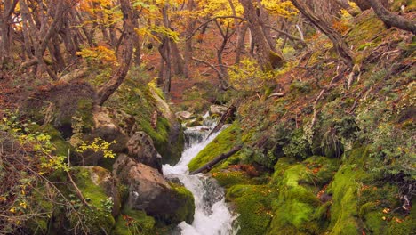 A-tranquil-mountain-stream-flows-through-a-lush,-colorful-forest-in-autumn