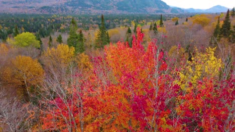 Beautiful-view-from-the-top-of-the-autumn-trees,-Mont-Tremblant,-Québec,-Canada