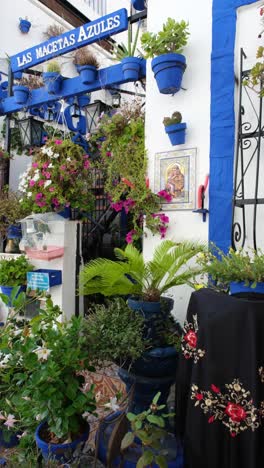 A-home-along-the-alley-of-Alicante-is-fully-adorned-with-blue-pots-overflowing-with-colorful-flowering-plants,-creating-a-stunning,-lively-display-of-nature-and-art