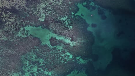 Aerial-top-down-shot-of-coral-reef-in-clear-blue-water-of-phillipines