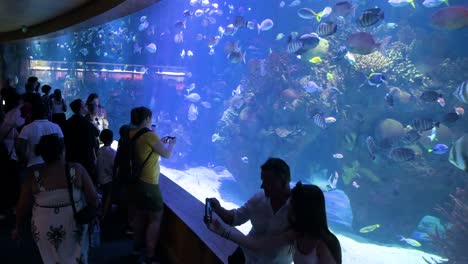 Visitors-take-photos-in-the-crowded-marine-fish-galleries-at-the-Oceanografic-in-the-City-of-Arts-and-Sciences-in-Valencia