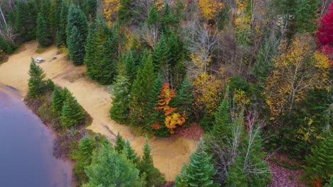 spectacular-purple-leaves-changing-in-the-fall-on-a-lakeside-picnic-beach-near-Mont-Tremblant,-Québec,-Canada-in-the-fall