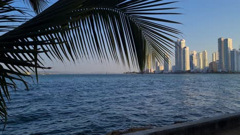 Bocagrande-Waterfront-Hotels,-Apartment-Buildings-and-Promenade,-Cartagena-Colombia