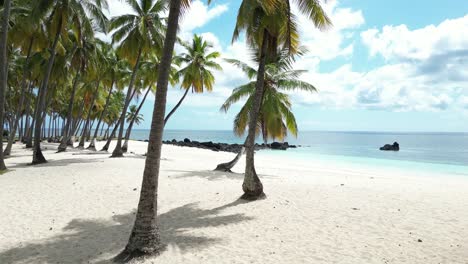 Tropical-beach-with-palm-trees,-white-sand,-and-clear-waters-on-a-sunny-day