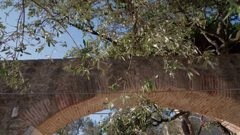 Slow-pan-of-olive-tree-branches-swaying-in-the-wind-near-an-orange-brick-bridge-in-Lisbon,-Portugal,-capturing-the-city's-natural-and-historic-elements