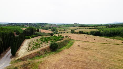 Hay-Bale-Roll-Over-Fields-Near-Country-Road-In-Tuscany,-Italy