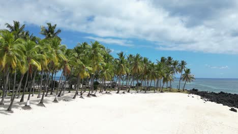 Palm-trees-line-a-white-sand-beach-with-clear-skies-and-ocean-view-in-tropical-paradise