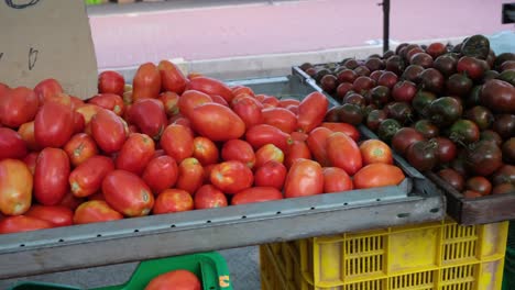 Piles-of-vibrant,-fresh-tomatoes-in-rich-red-hues-are-beautifully-displayed-at-the-bustling-Saturday-open-air-market,-offering-a-feast-for-the-eyes-and-tastebuds