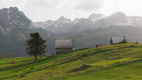 Woman-run-toward-Zabljak-Montenegro-mountain-in-lush-green-meadow