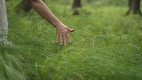 Woman's-hand-gently-brushing-through-tall-green-grass-in-a-forest,-symbolizing-harmony-and-connection-with-nature