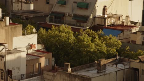 Techos-De-Buenos-Aires-Iluminados-Por-El-Sol-Y-Frondosos-árboles-Verdes-En-Un-Barrio-Urbano-Durante-La-Hora-Dorada