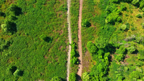 Aerial-tilt-shot-over-a-dirt-road-in-Skadar-lake-national-park,-in-Montenegro