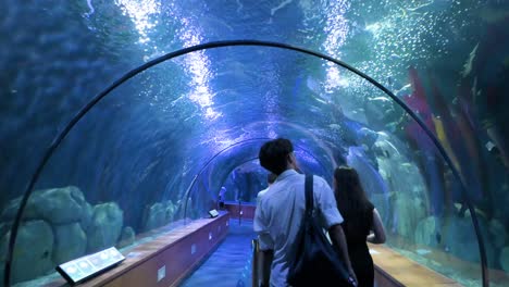 Camera-follows-guests-strolling-through-an-underwater-tunnel-gallery-with-marine-fish,-sharks,-and-turtles-at-Oceanogràfic-in-Valencia's-City-of-Arts-and-Sciences,-home-to-Europe’s-largest-aquarium