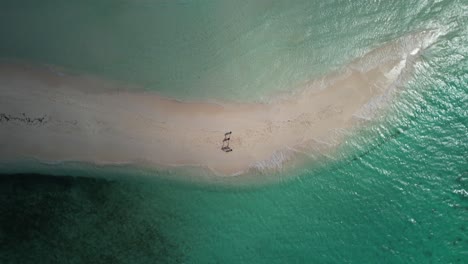 Drone-TOP-DOWN-FAMILY-stand-on-white-sandbar,-holding-hands-together,-CARIBBEAN-SEA