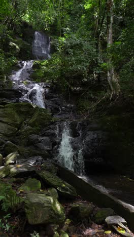 Vertical-video-of-waterfall-in-Thailand-national-park,-Khao-Sok