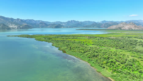 Drohnenaufnahme-Der-Natur-Im-Skadar-See-Nationalpark,-Montenegro