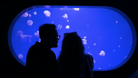 A-couple-observes-white-spotted-jellyfish-at-the-Oceanografic-in-the-City-of-Arts-and-Sciences-in-Valencia