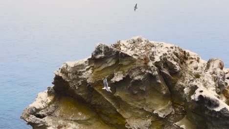 Aerial-dolly-along-rugged-rocky-cliffs-of-Coronado-Islands,-Mexico,-with-crashing-waves-along-the-shore,-tilt-down-to-reveal-fishermen-on-boat-in-ocean