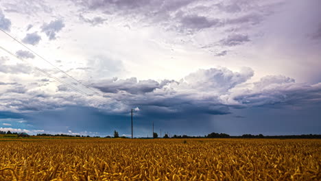 Timelapse-of-Dark-Storm-Clouds-Rolling-Over-a-Golden-Wheat-Field-With-Heavy-Rain-Nearby