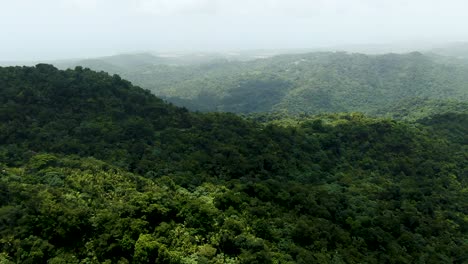 Foggy-jungle-national-park-and-hilly-landscape-of-Puerto-Rico,-aerial-view