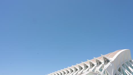 Una-Toma-Inclinada-Hacia-Abajo-Captura-A-Los-Visitantes-Paseando-Por-El-Marco-Frente-Al-Museo-De-Ciencias,-Ubicado-Dentro-Del-Complejo-De-La-Ciudad-De-Las-Artes-Y-Las-Ciencias-De-Valencia,-El-Principal-Destino-Turístico-De-La-Ciudad.